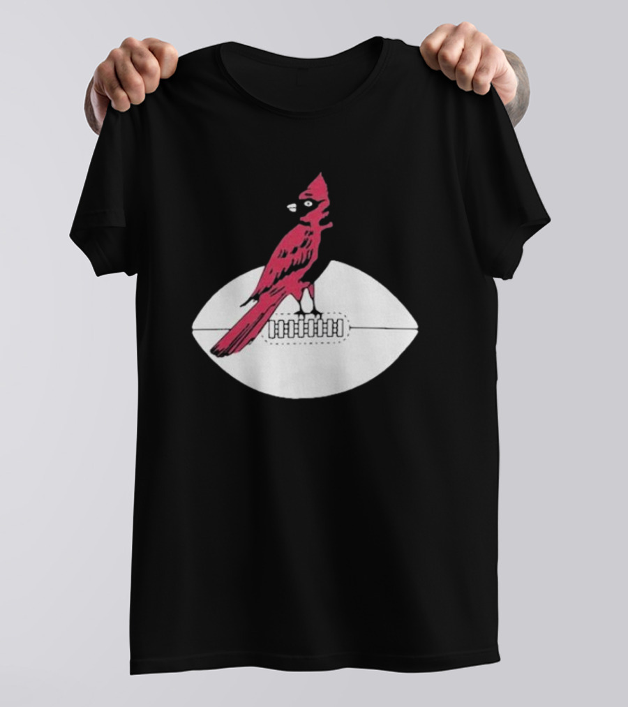 Arizona Cardinals Vintage Cardinal On Football T-Shirt