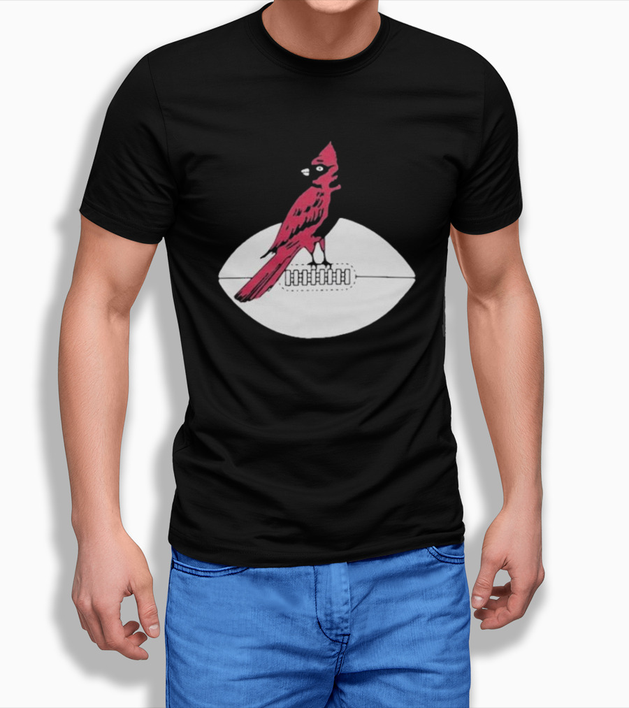 Arizona Cardinals Vintage Cardinal On Football T-Shirt