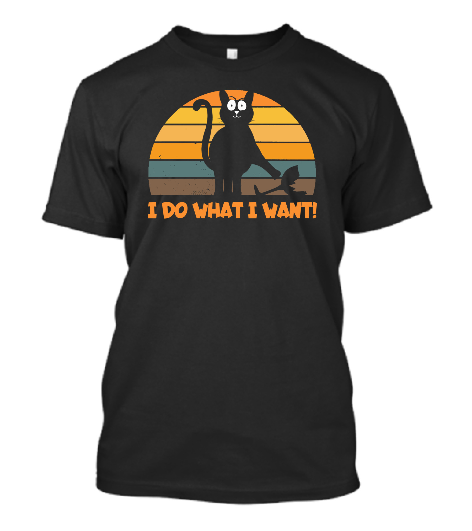 Naughty Cat Retro Sunset I Do What I Want T-Shirt