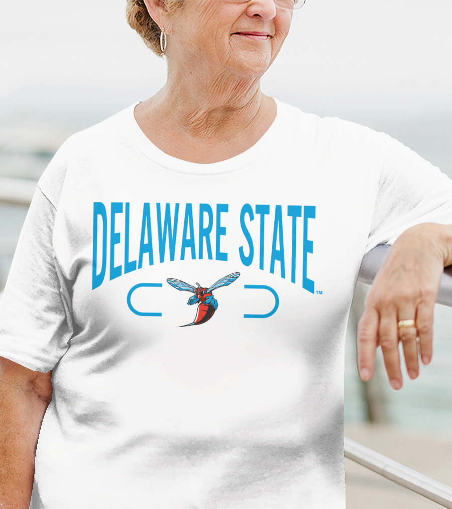 Delaware State Hornets 2.0 Champion T-Shirt