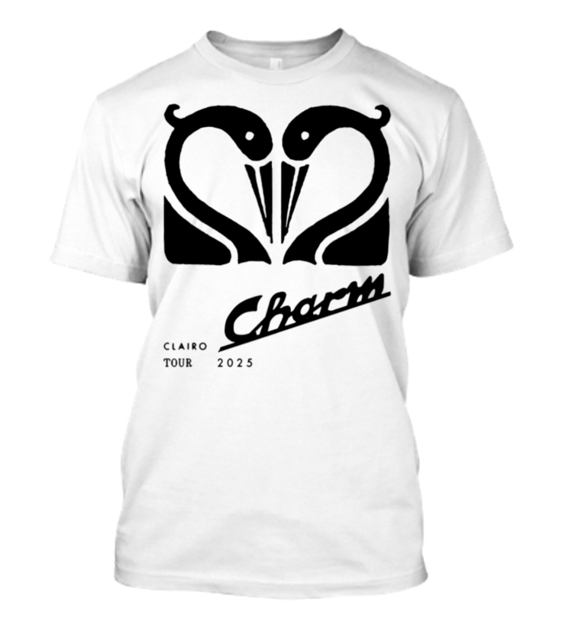Charm Swan Europe Tour 23 Concert Aesthetic Retro Swans T-Shirt
