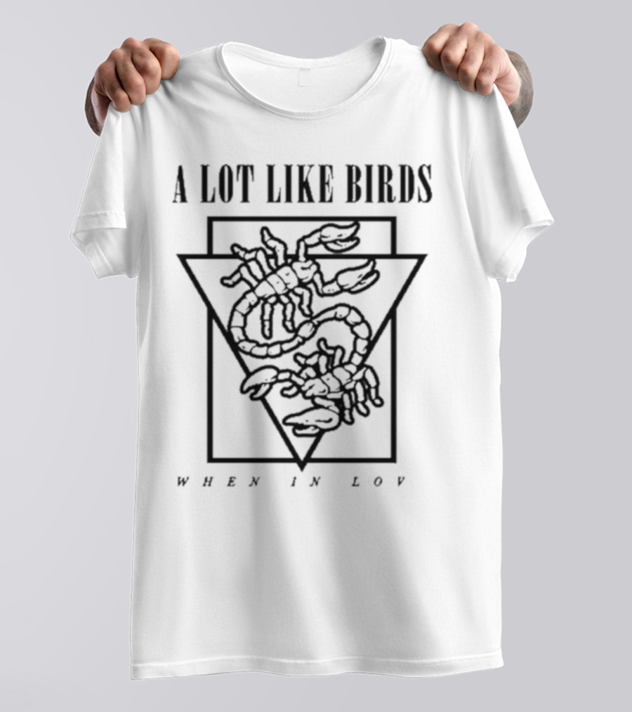 A Lot Like Birds When In Love Triangle Artwork T-Shirt