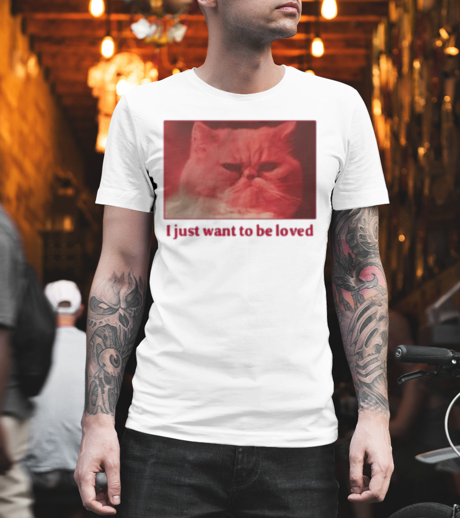 Volodymyr Testardі I Just Want To Be Loved Grumpy Cat Red Tones T-Shirt