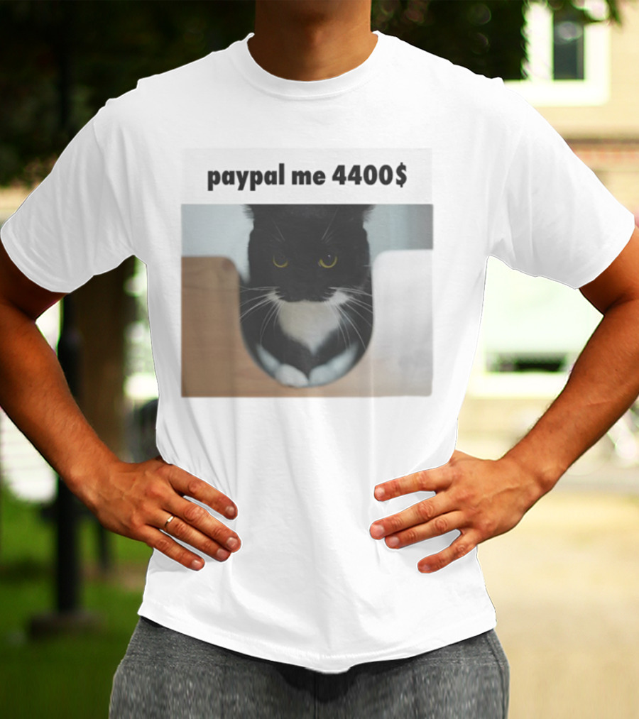 Paypal Me 4400$ Black Cat T-Shirt
