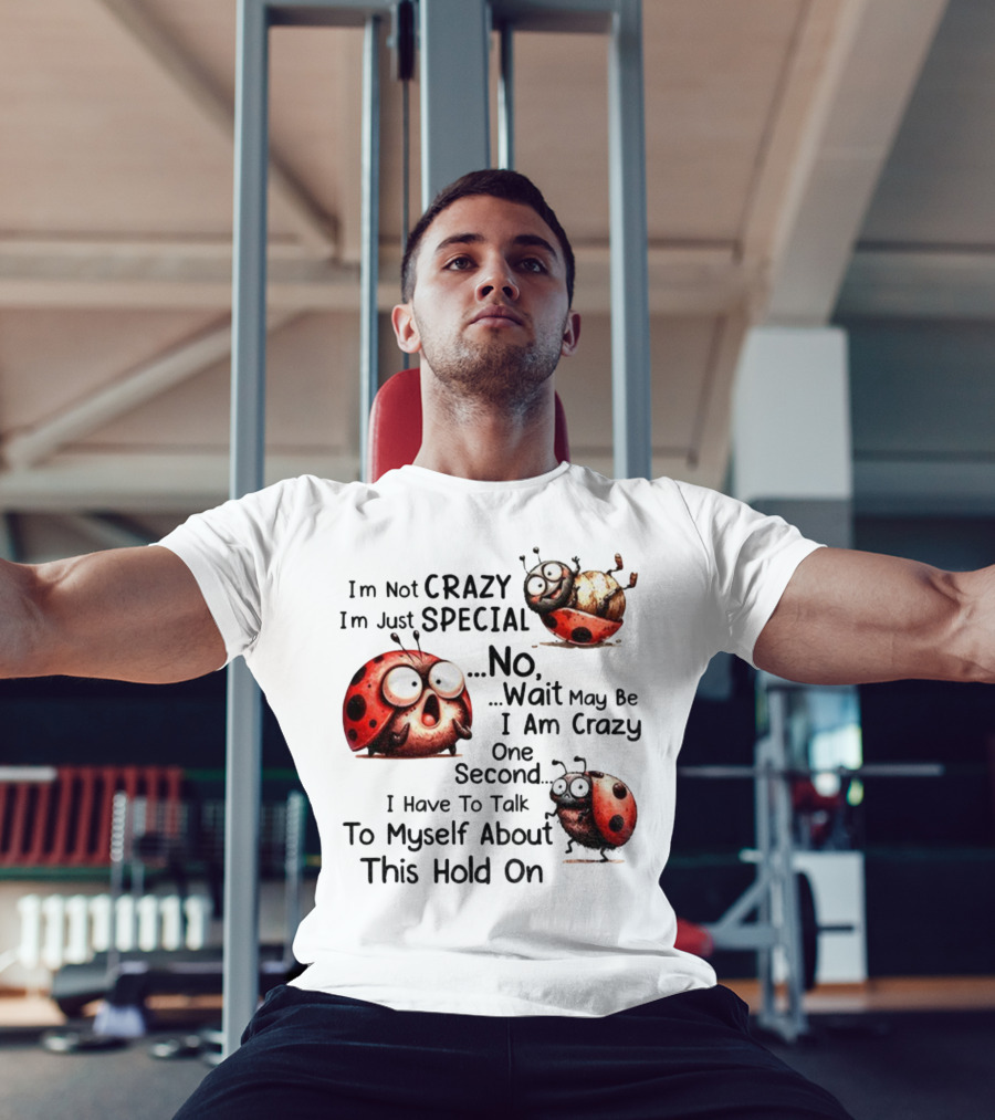 I'm Not Crazy I'm Just Special No Wait May Be I Am Crazy One Second I Have To Talk To Myself About This Hold On Ladybug T-Shirt