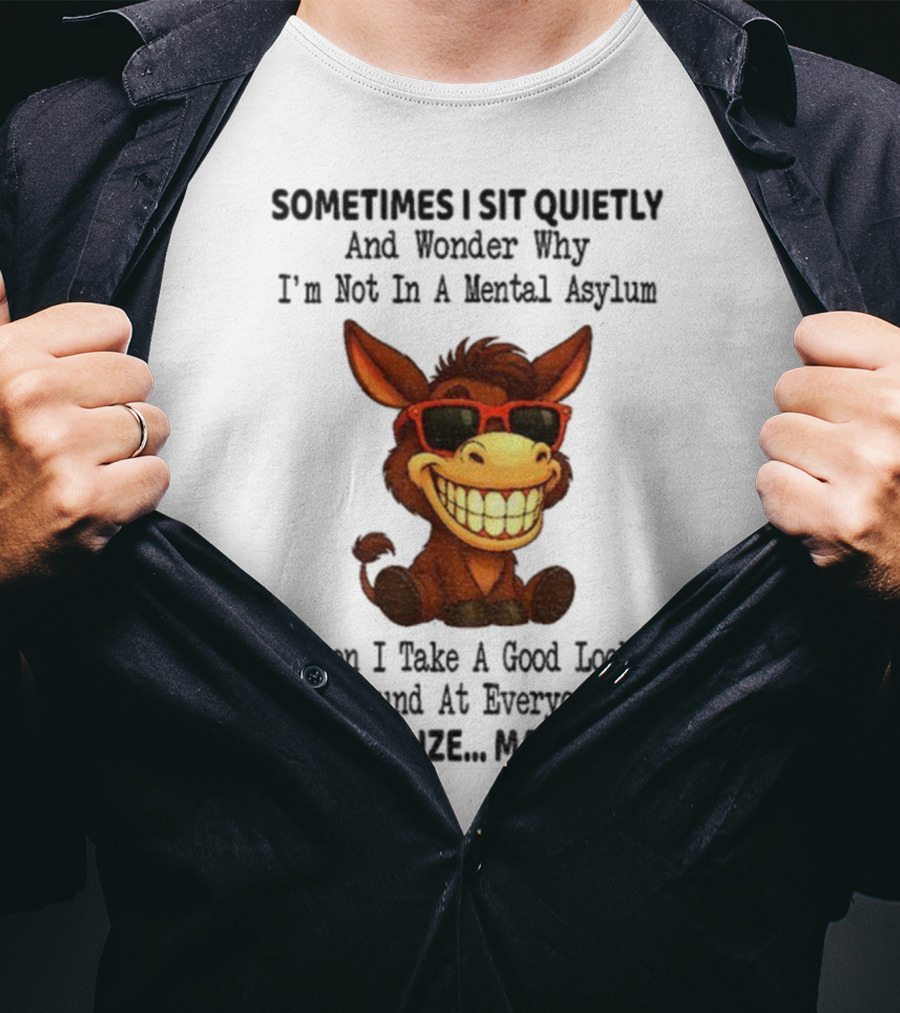 Sometimes I Sit Quietly And Wonder Why I'm Not In A Mental Asylum Then I Take A Good Look Around At Everyone And Realize Maybe I Am Donkey Meme T-Shirt