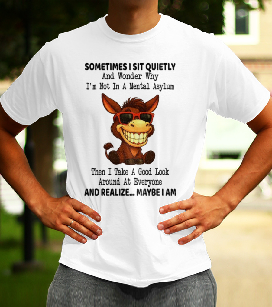 Sometimes I Sit Quietly And Wonder Why I'm Not In A Mental Asylum Then I Take A Good Look Around At Everyone And Realize Maybe I Am Donkey Meme T-Shirt