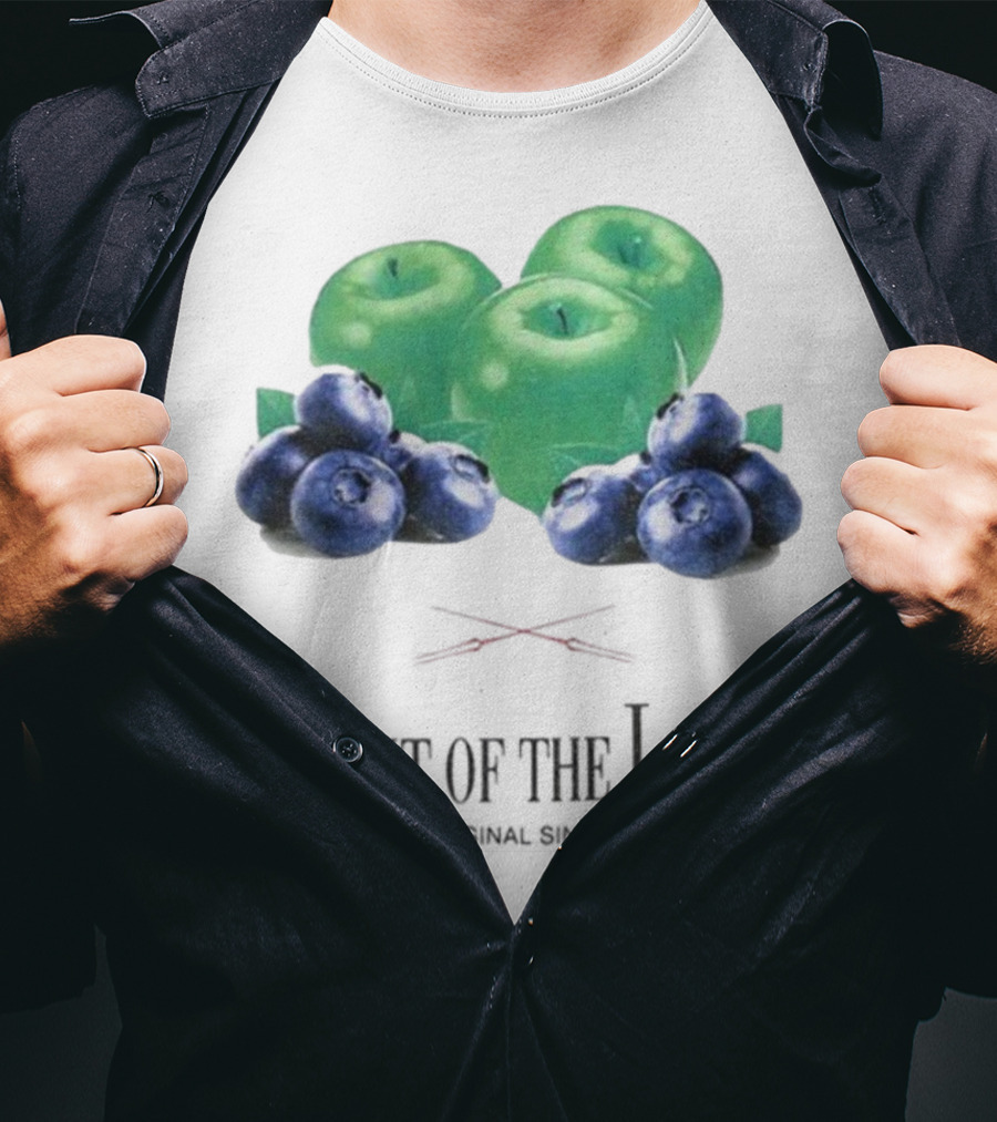 Fruit Of The Loom Original Since 1851 Green Apples Blueberries T-Shirt