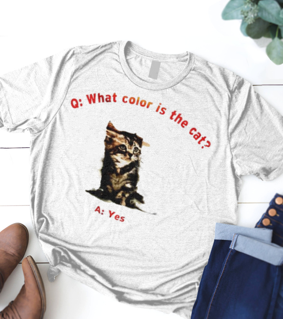 What Color Is The Cat Yes Kitten T-Shirt