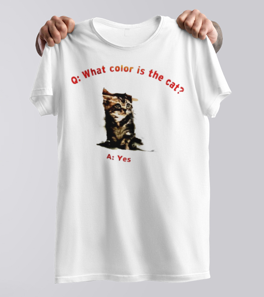 What Color Is The Cat Yes Kitten T-Shirt