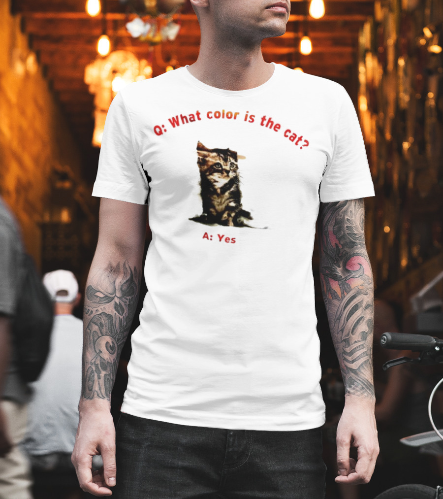 What Color Is The Cat Yes Kitten T-Shirt
