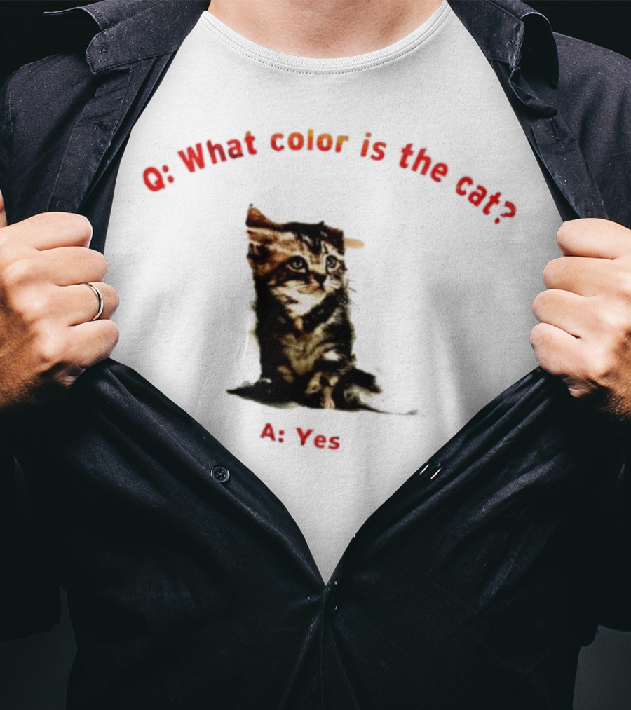 What Color Is The Cat Yes Kitten T-Shirt