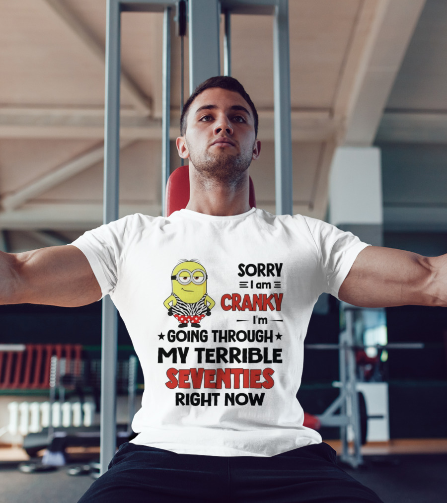 Sorry I Am Cranky Going Through My Terrible Seventies Minion T-Shirt