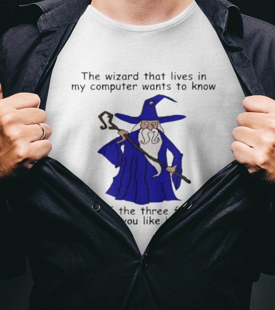 The Wizard That Lives In My Computer Wants To Know Which Of The Three Following Styles Do You Like Best T-Shirt