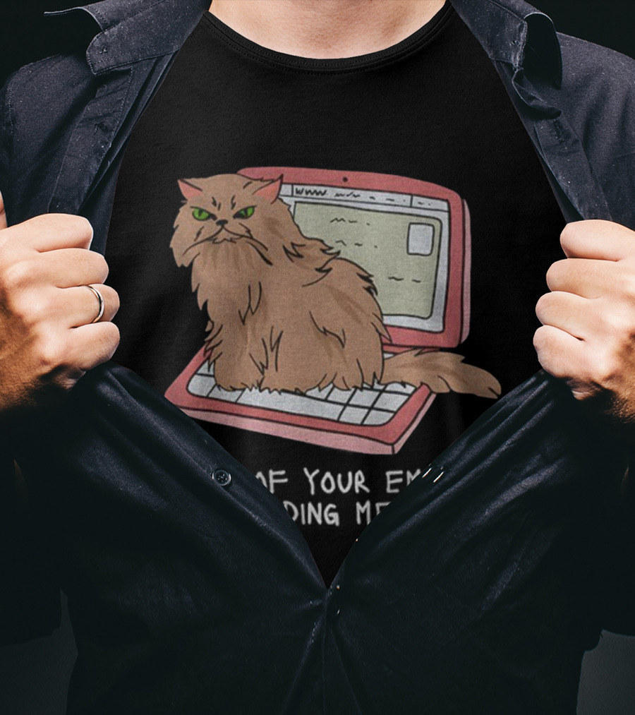 Cat None Of Your Emails Are Finding Me Well Sitting On Laptop T-Shirt