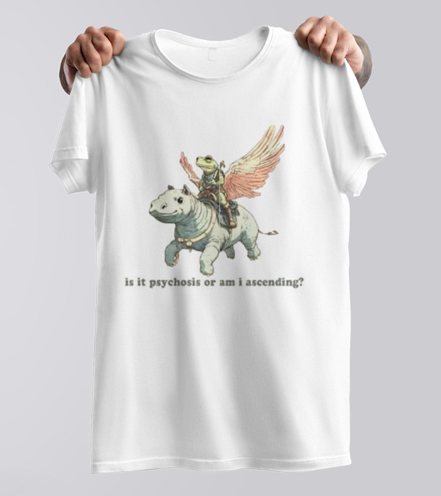 Frog Riding Flying Hippo Psychosis Or Ascension T-Shirt