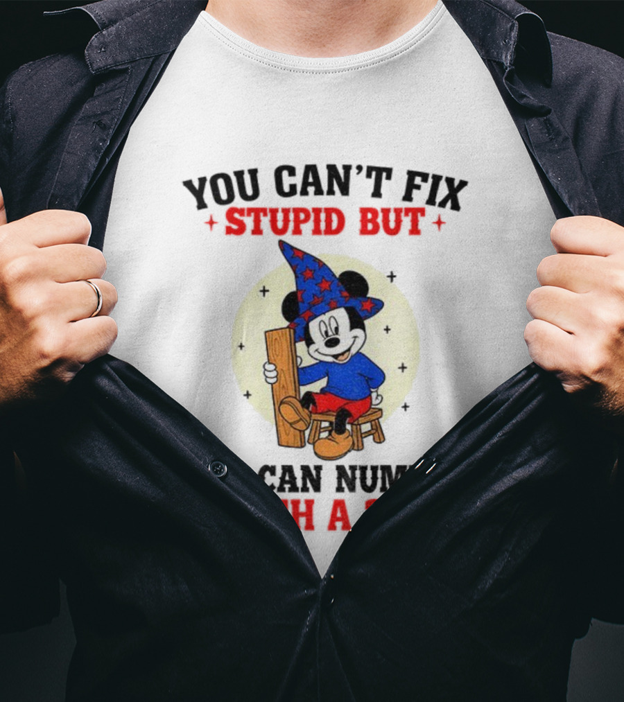 You Can't Fix Stupid But You Can Numb It With A 2x4 Mickey Witch T-Shirt
