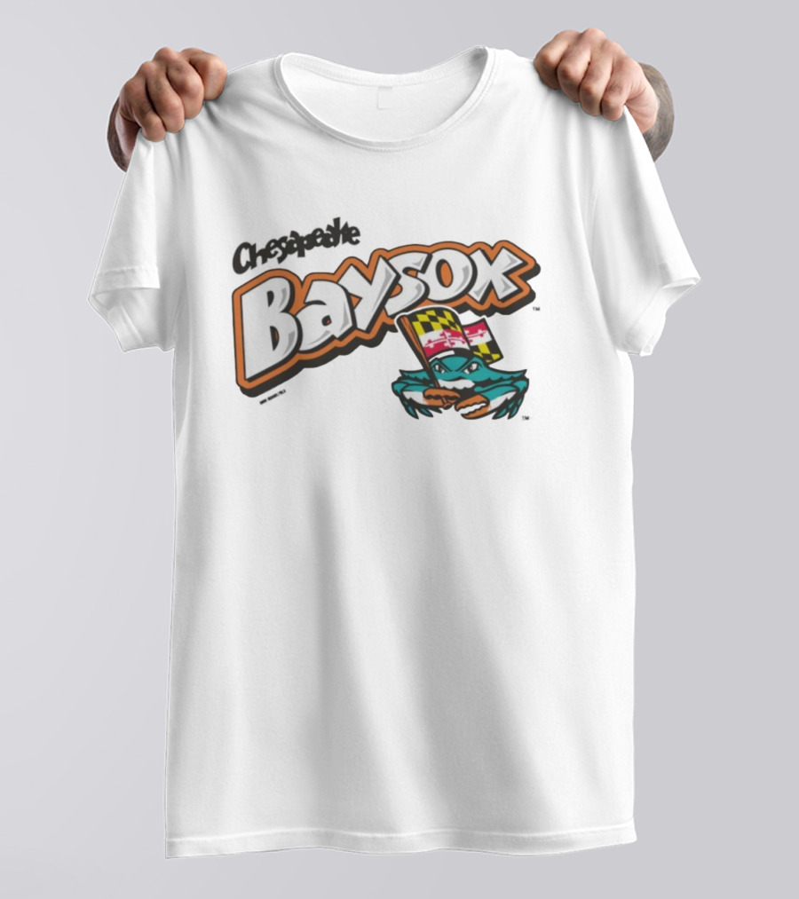 Chesapeake Baysox Toddler Barksdale Carolina Team Logo With Maryland Flag Crustacean T-Shirt