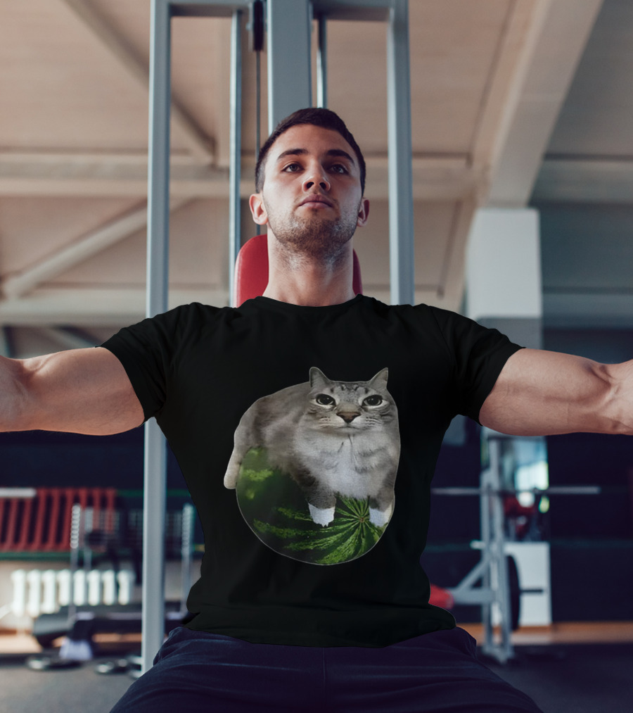 Watermelon Cat Meme Humor Collage T-Shirt