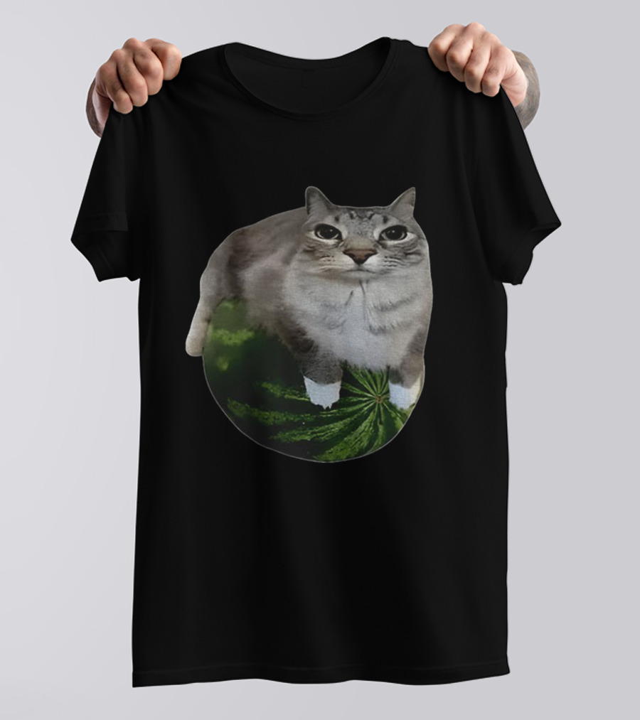 Watermelon Cat Meme Humor Collage T-Shirt