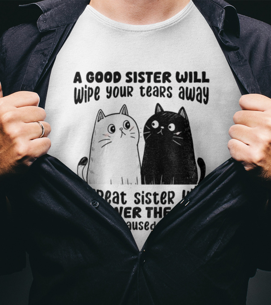 Funny Cats A Good Sister Wipes Tears A Great Sister Runs Over Idiot T-Shirt