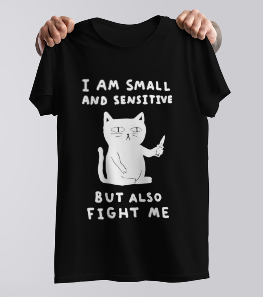 Cat I Am Small And Sensitive But Also Fight Me Playful Humor T-Shirt