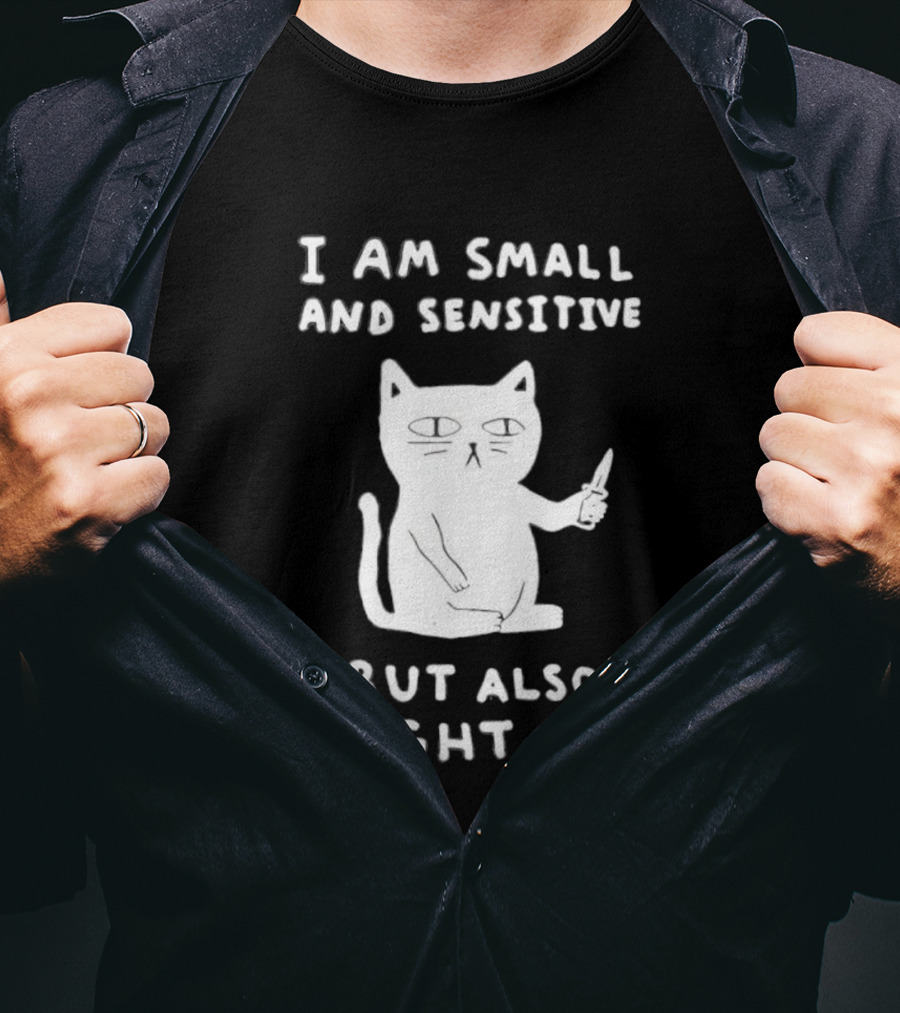 Cat I Am Small And Sensitive But Also Fight Me Playful Humor T-Shirt