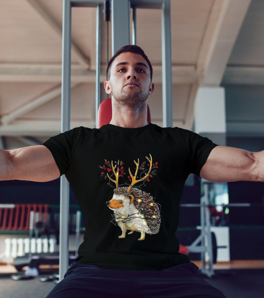 Hedgehog With Antlers Wearing String Of Lights Christmas Holiday Design T-Shirt