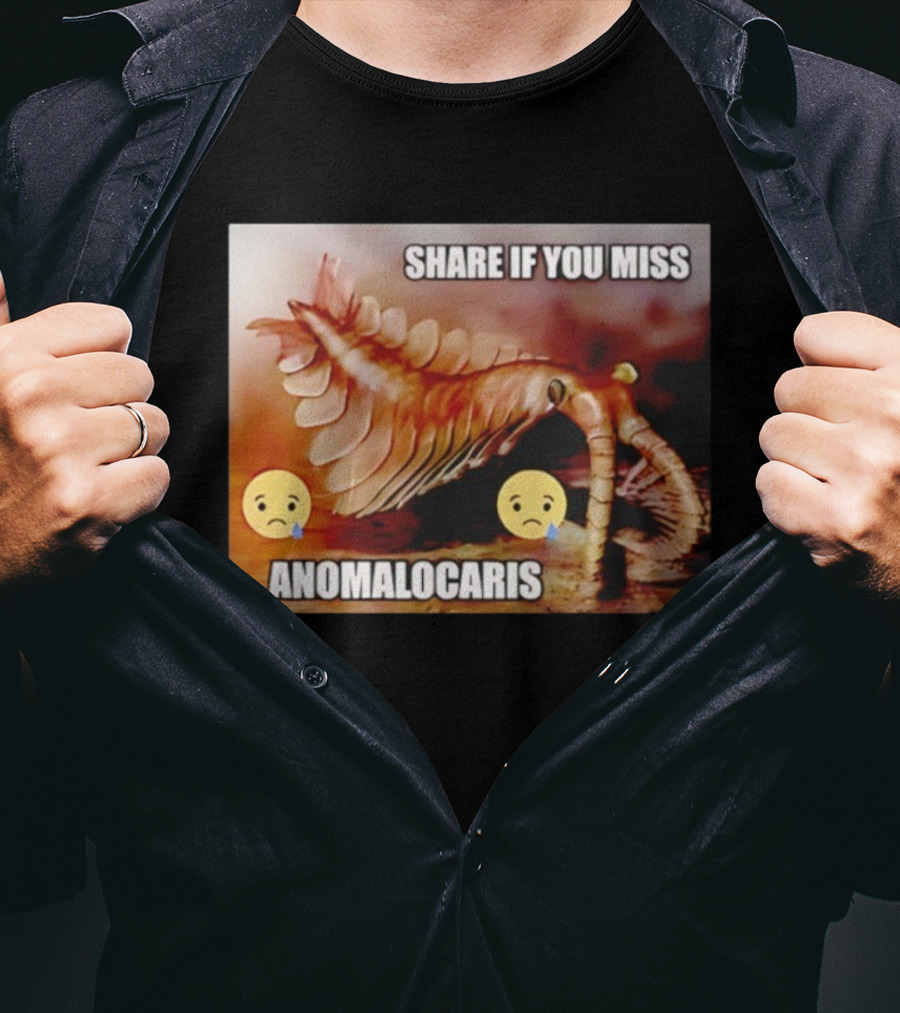 Anomalocaris Share If You Miss Meme Funny Emojis T-Shirt