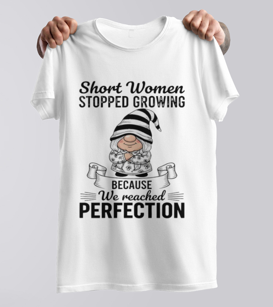 Short Women Stopped Growing We Reached Perfection Gnome Sweater Striped Hat T-Shirt