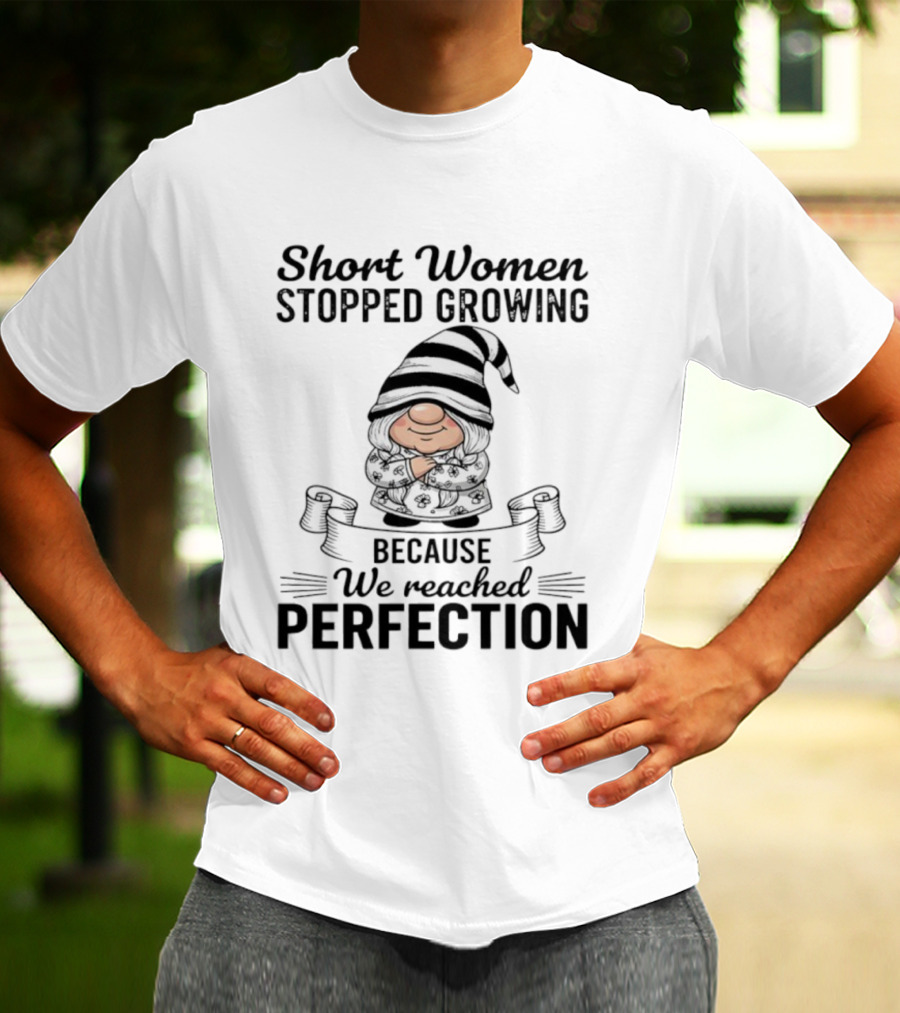 Short Women Stopped Growing We Reached Perfection Gnome Sweater Striped Hat T-Shirt