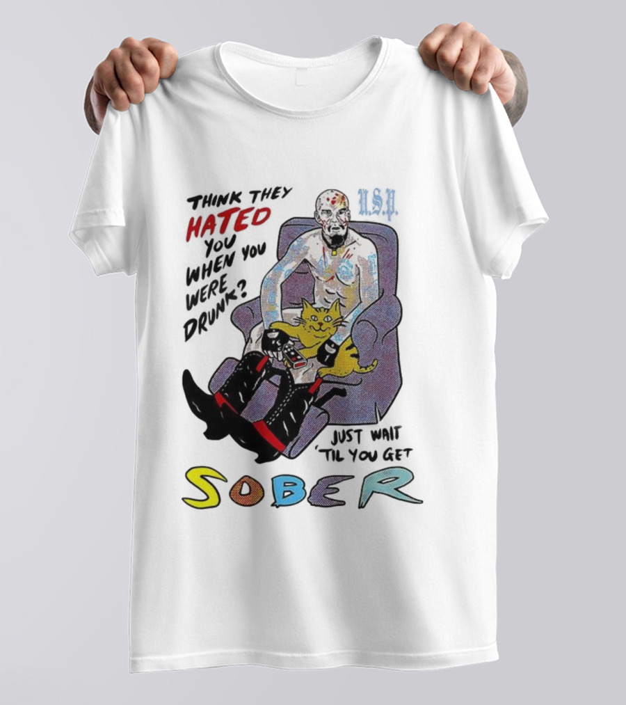 Hated Baseball Sober Comic Art With Cat And Colorful Text T-Shirt