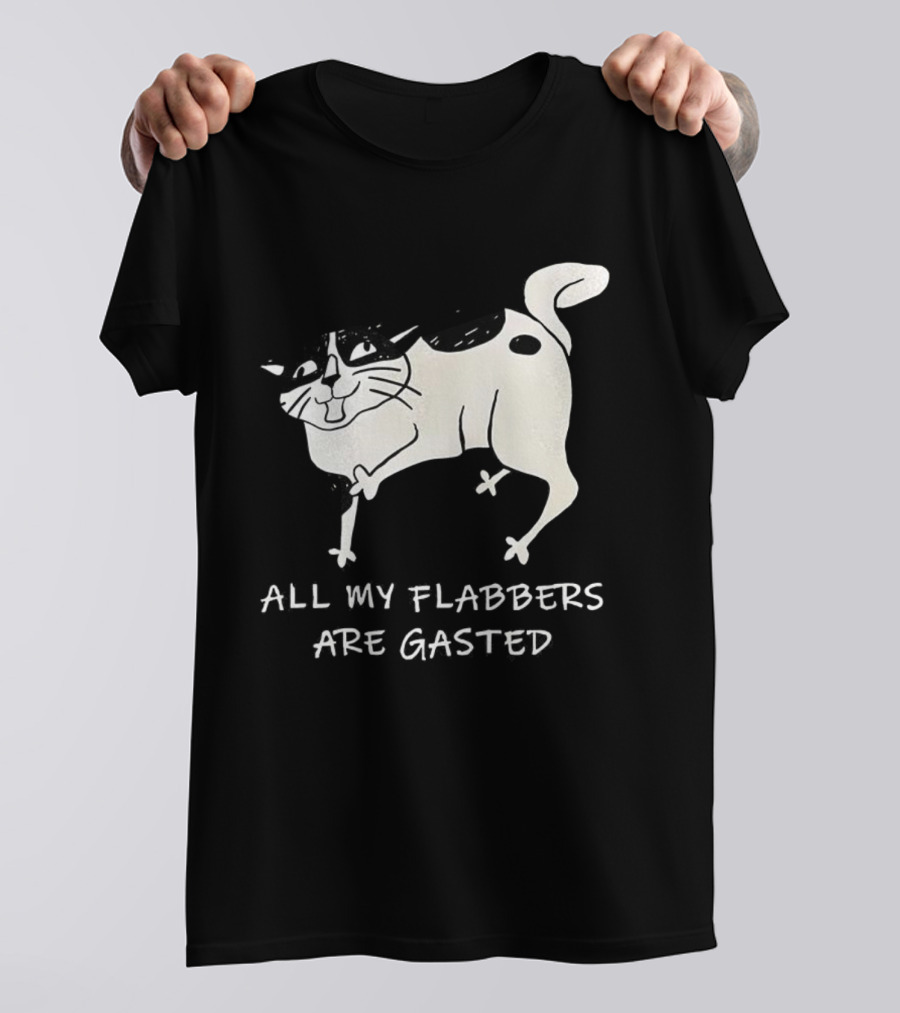 Surprised Cat All My Flabbers Are Gasted Sketch T-Shirt