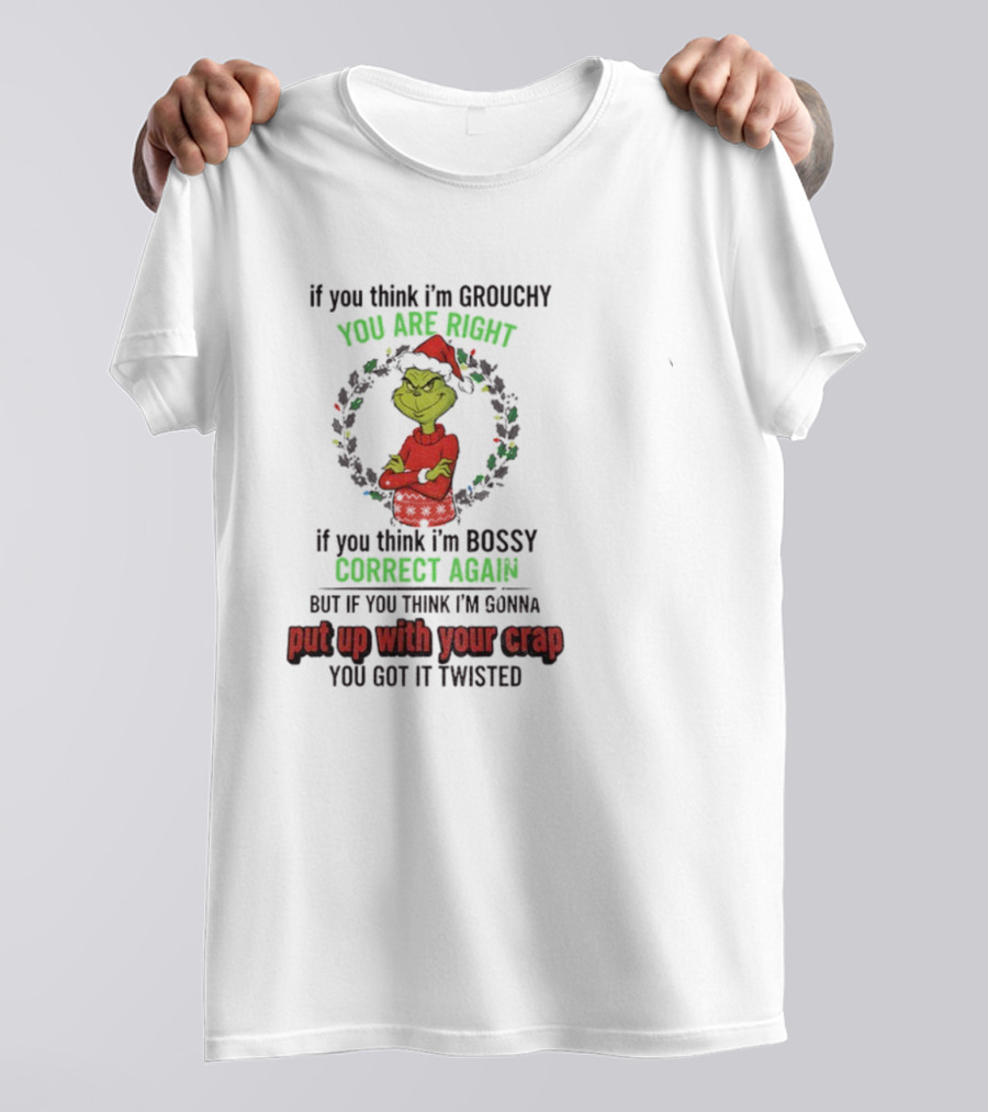 Grinch You Are Right Correct Again Twisted Christmas Grouchy Bossy T-Shirt
