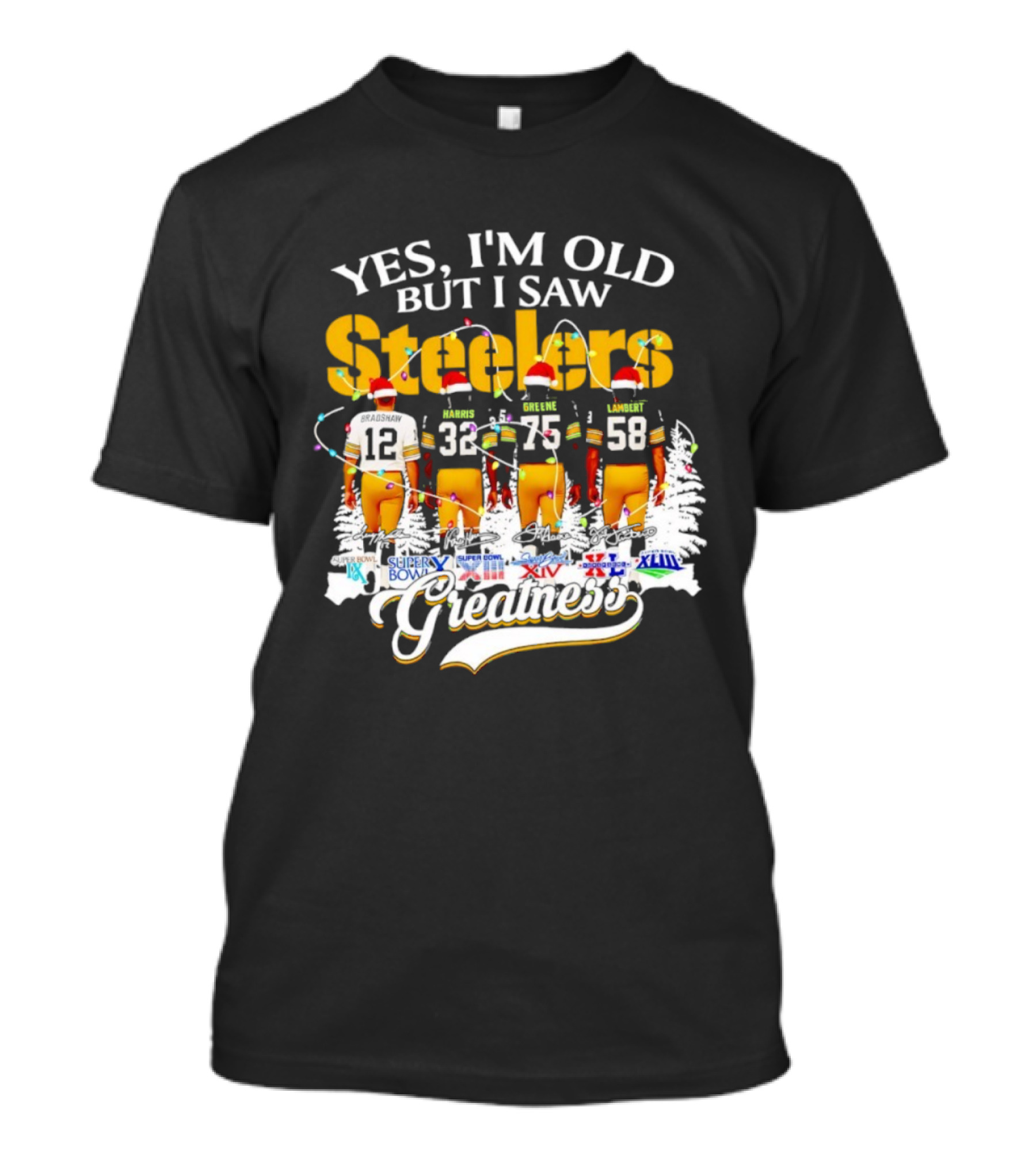 Yes I'm Old But I Saw Steelers Super Bowls Greatest T-Shirt