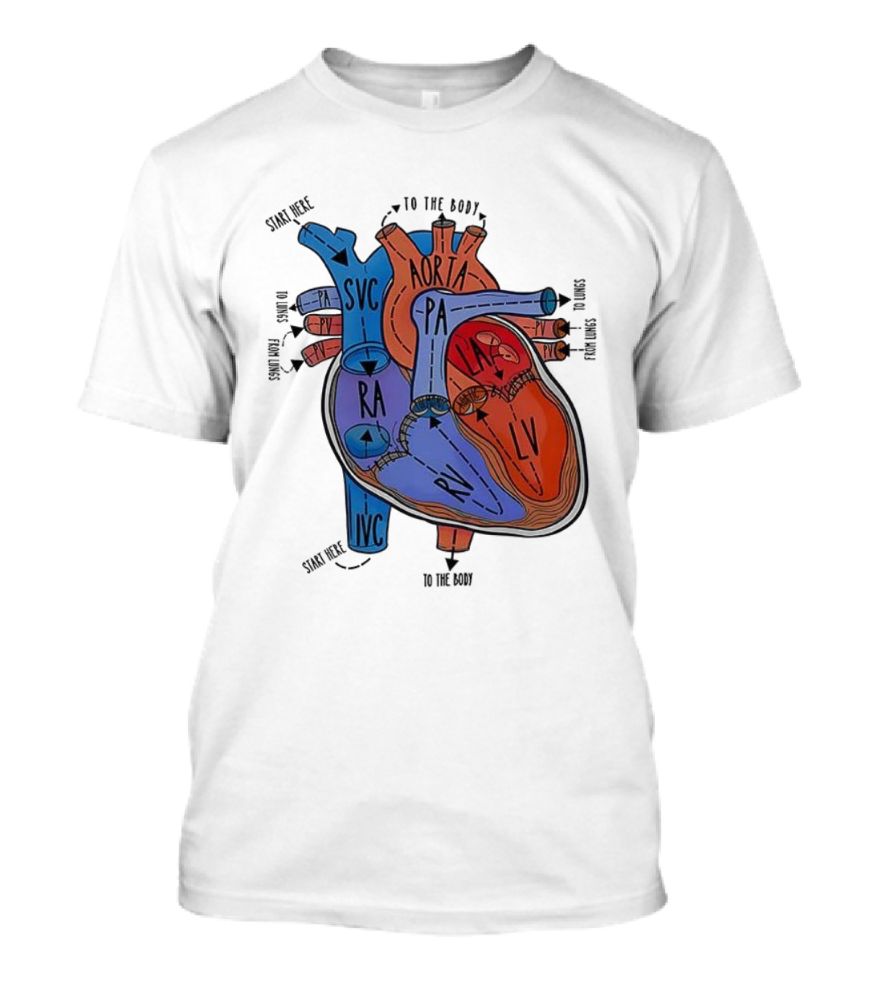 Heart Anatomy Blood Flow SVC RA RV IVC Aorta PA PV LA LV T-Shirt