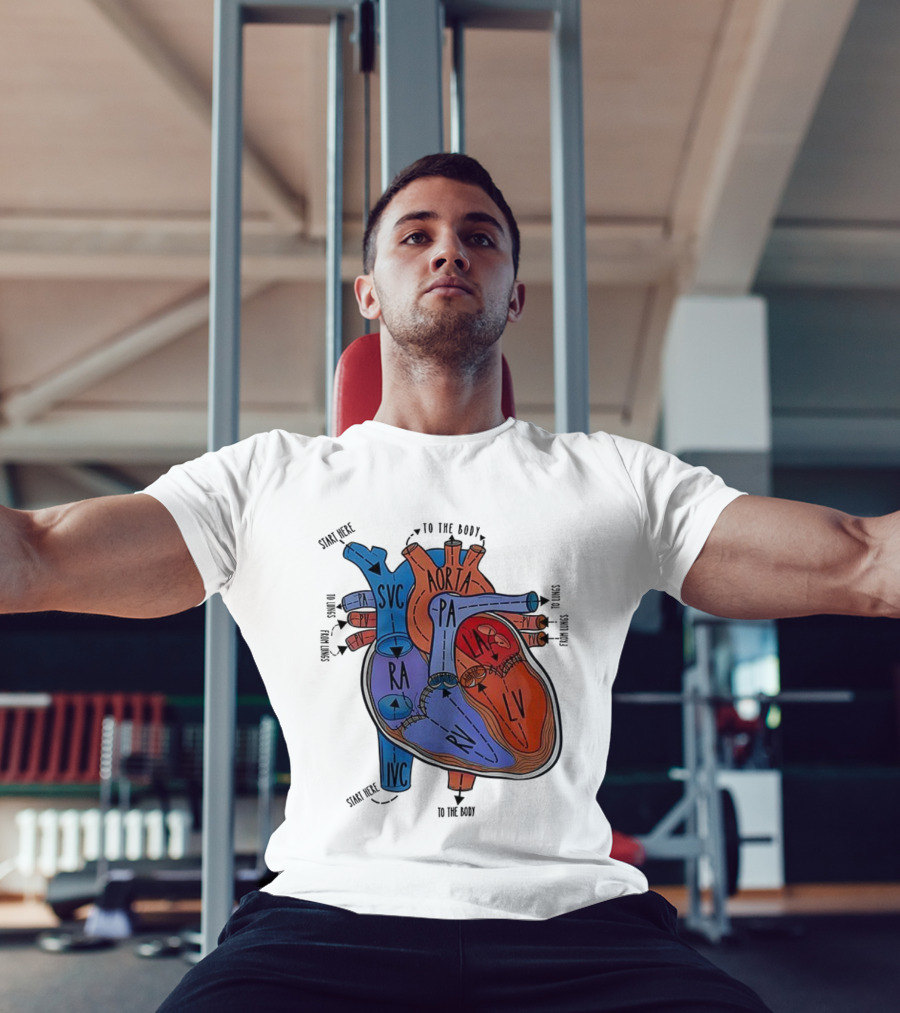 Heart Anatomy Blood Flow SVC RA RV IVC Aorta PA PV LA LV T-Shirt