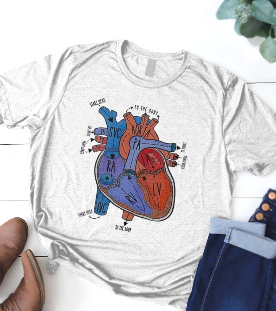 Heart Anatomy Blood Flow SVC RA RV IVC Aorta PA PV LA LV T-Shirt