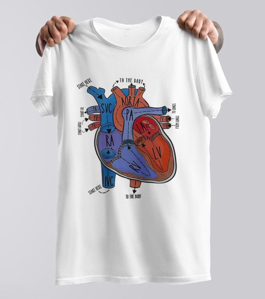 Heart Anatomy Blood Flow SVC RA RV IVC Aorta PA PV LA LV T-Shirt