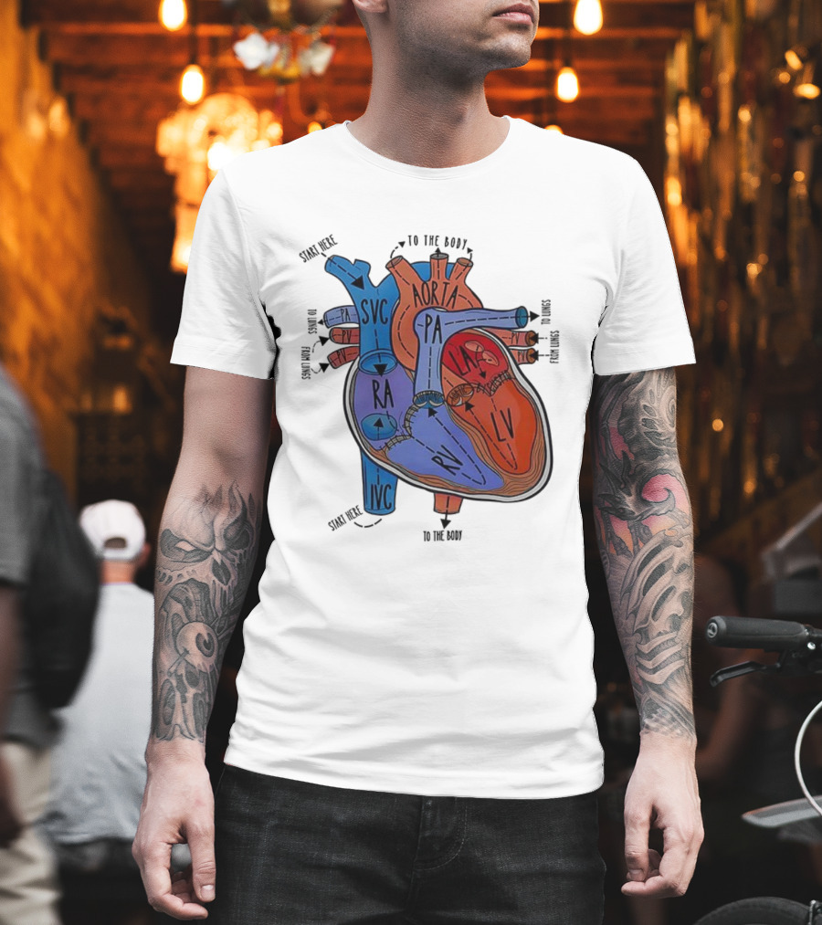 Heart Anatomy Blood Flow SVC RA RV IVC Aorta PA PV LA LV T-Shirt