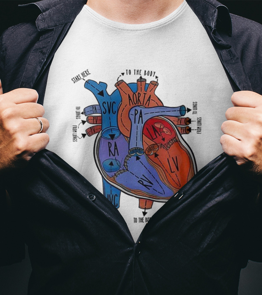 Heart Anatomy Blood Flow SVC RA RV IVC Aorta PA PV LA LV T-Shirt