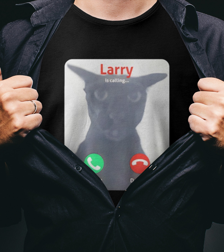 Larry Is Calling Accept Decline Black Cat Face Meme T-Shirt