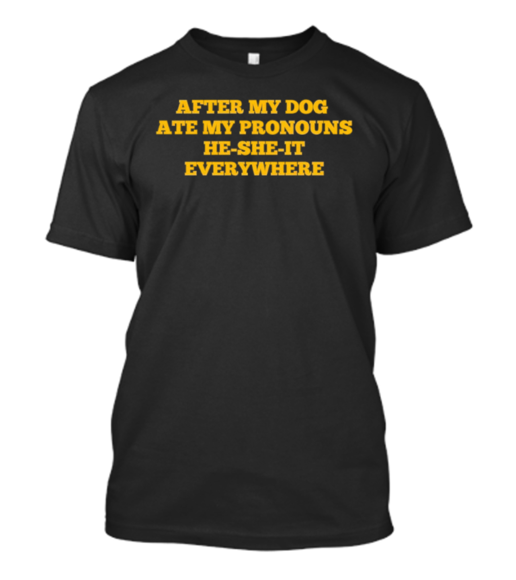 After My Dog Ate My Pronouns He She It Everywhere T-Shirt