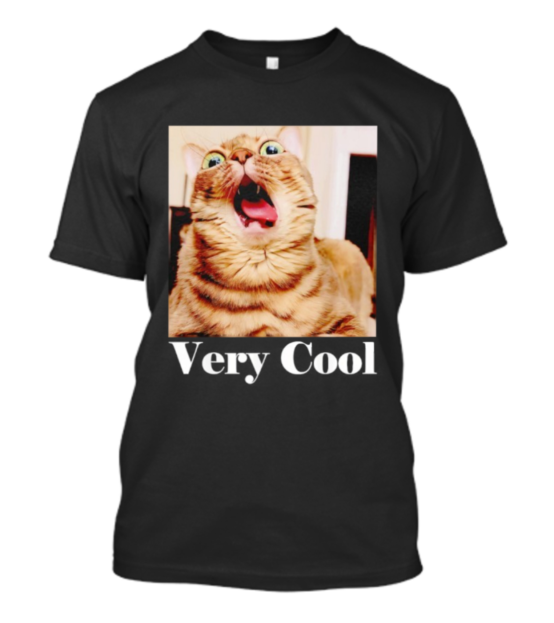 Silly Cat Meme Humor Very Cool Funny Cats T-Shirt