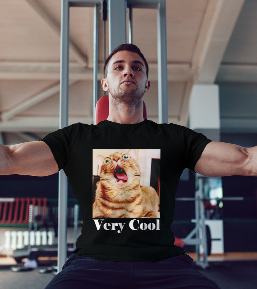 Silly Cat Meme Humor Very Cool Funny Cats T-Shirt