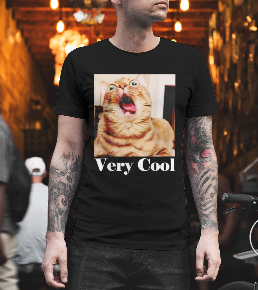 Silly Cat Meme Humor Very Cool Funny Cats T-Shirt
