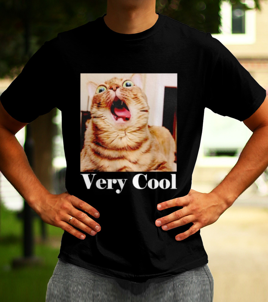 Silly Cat Meme Humor Very Cool Funny Cats T-Shirt