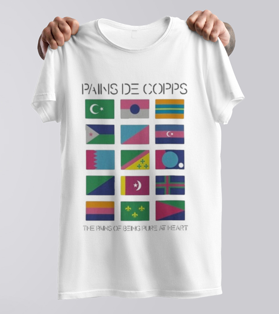 Pains De Corps The Pains Of Being Pure At Heart Flags T-Shirt