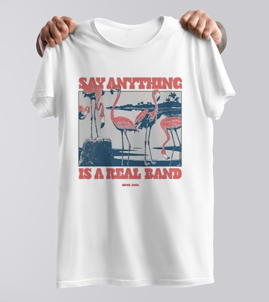 Say Anything Flamingo Is A Real Band Since 2000 T-Shirt
