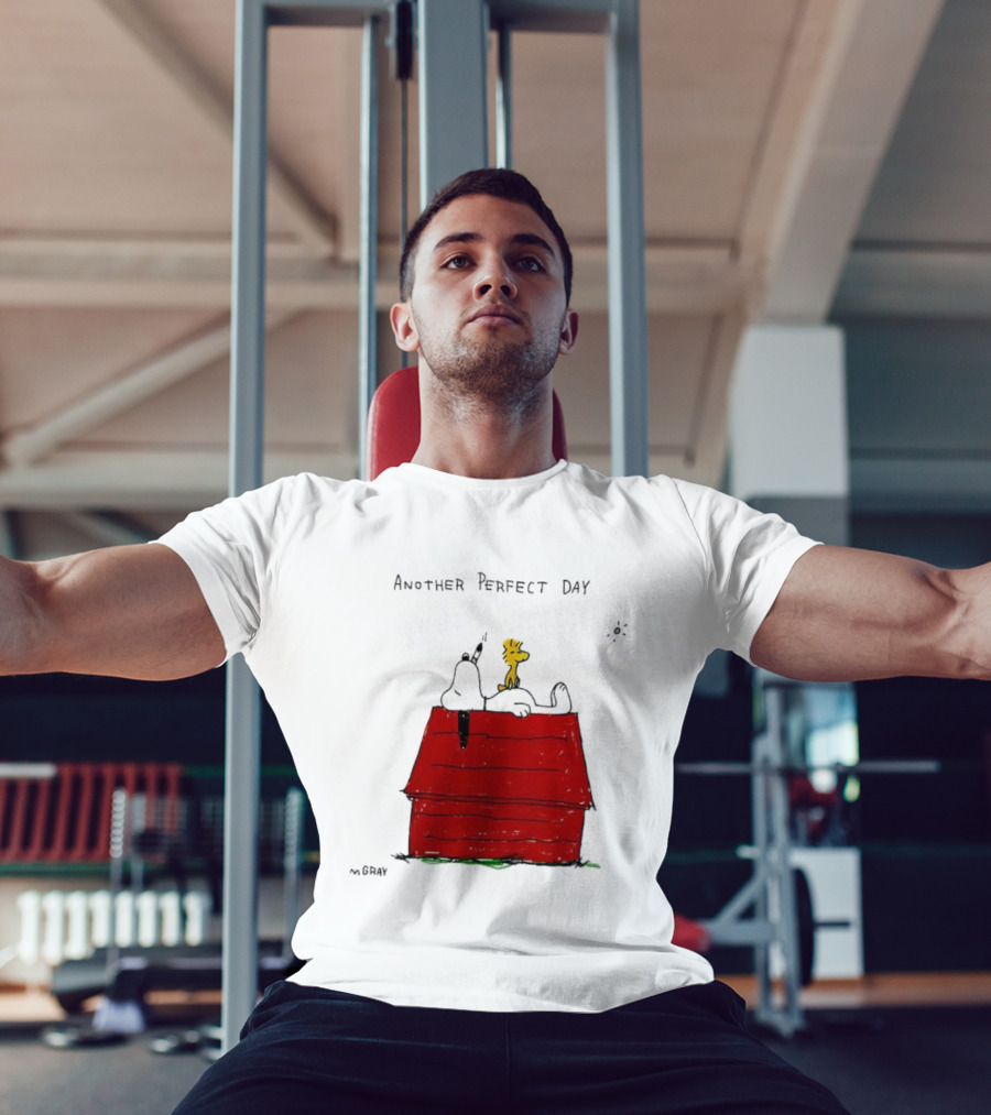 Snoopy And Woodstock Relaxing On Doghouse Perfect Day T-Shirt